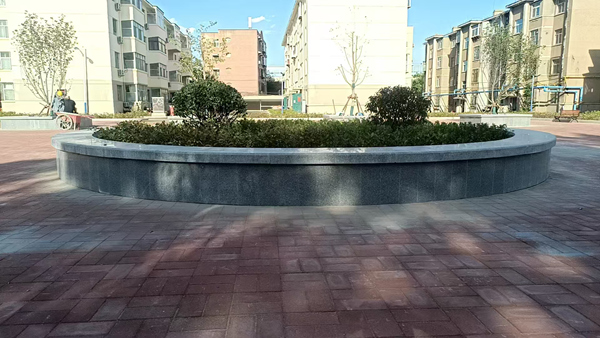 鲁灰树池